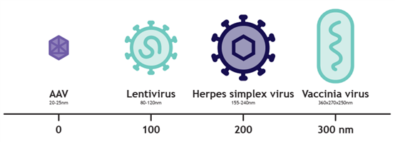 Advancing purification strategies for large viral modalities using nanofiber adsorbent technology